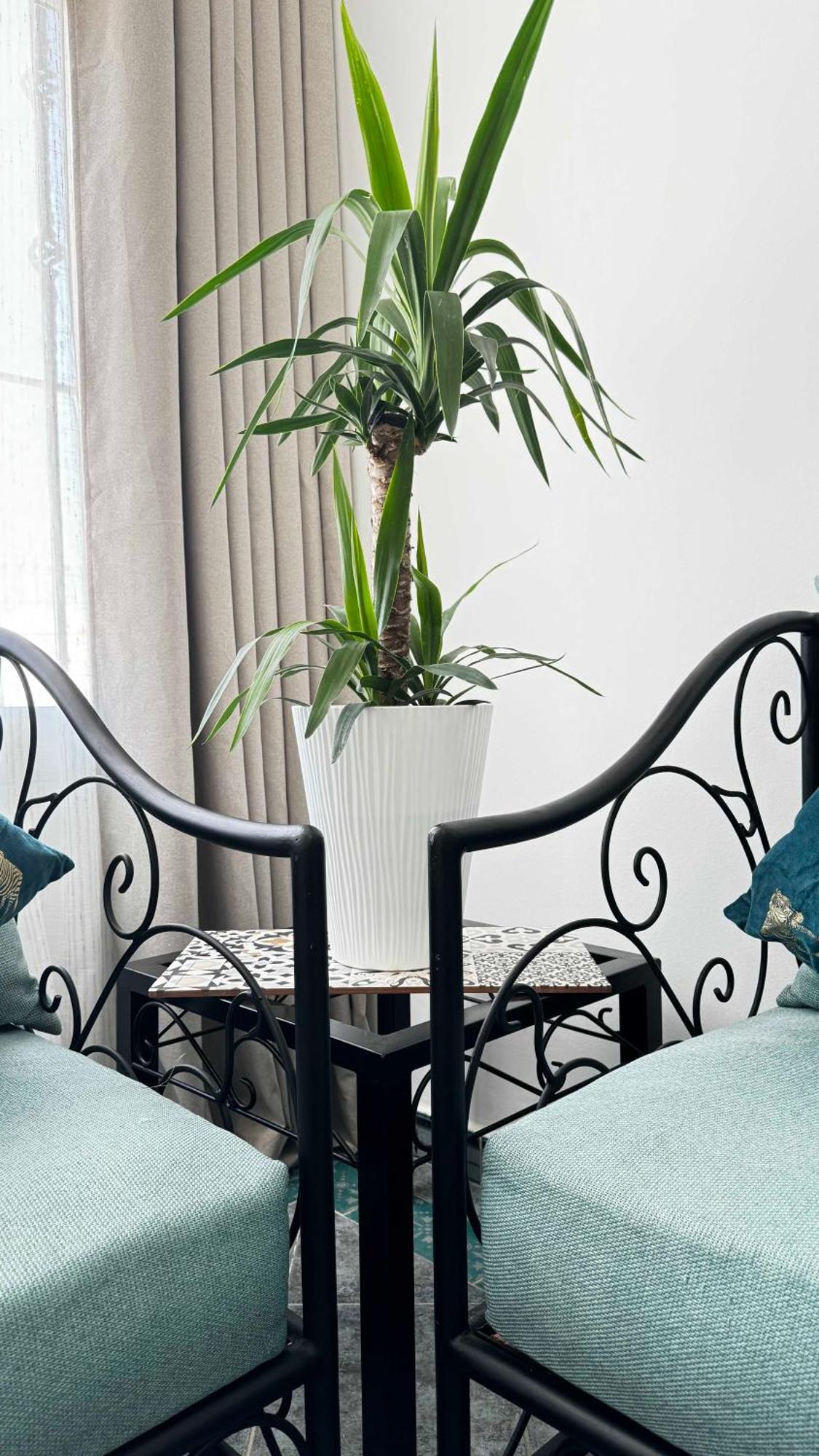 Calays Tu Hogar Junto Al Mar Lejlighed Tanger Eksteriør billede